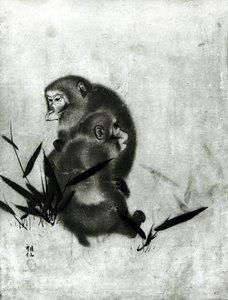 बंदर